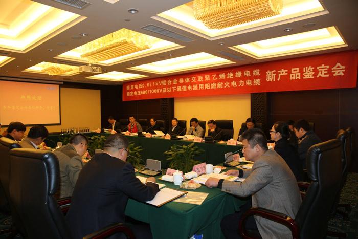 BG大游(集团)唯一官方网站