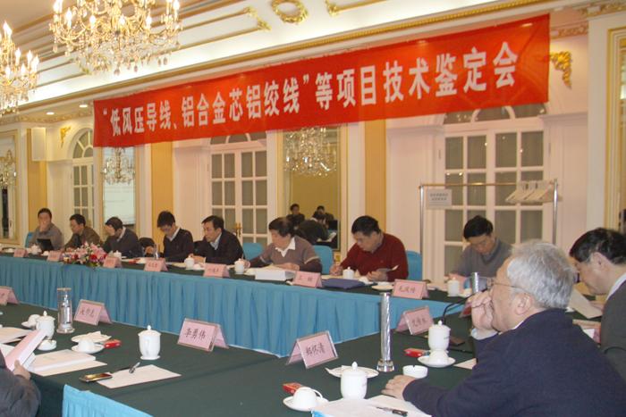 BG大游(集团)唯一官方网站