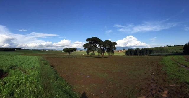 BG大游(集团)唯一官方网站