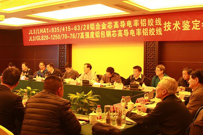 BG大游(集团)唯一官方网站