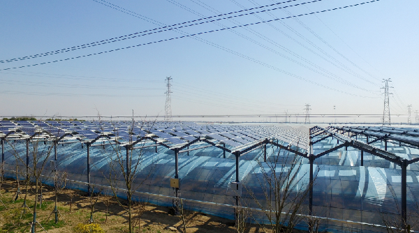 BG大游(集团)唯一官方网站