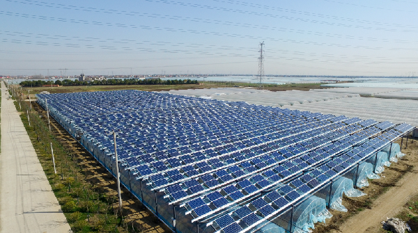 BG大游(集团)唯一官方网站