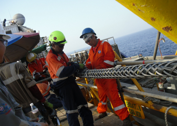 BG大游(集团)唯一官方网站