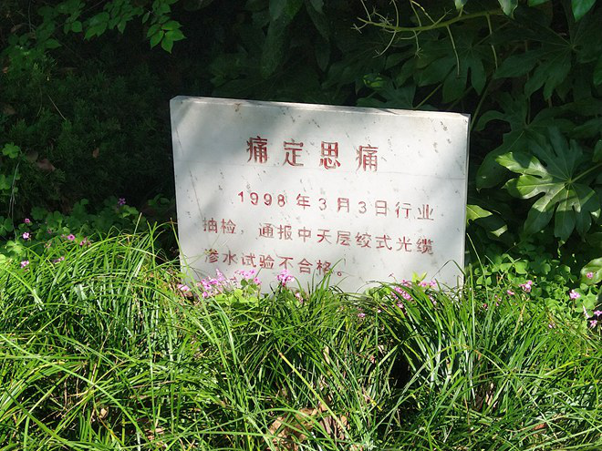 BG大游(集团)唯一官方网站