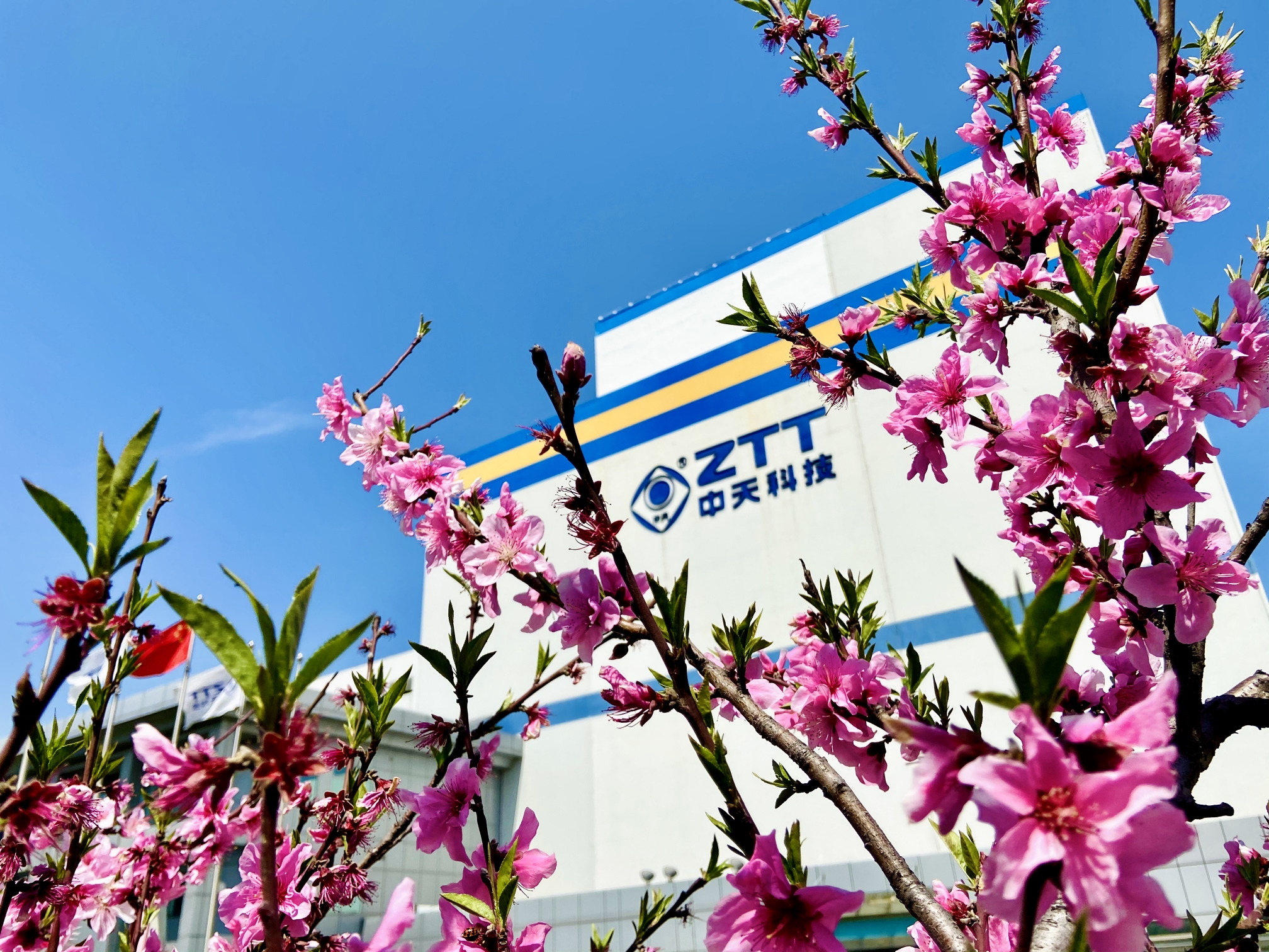 BG大游(集团)唯一官方网站