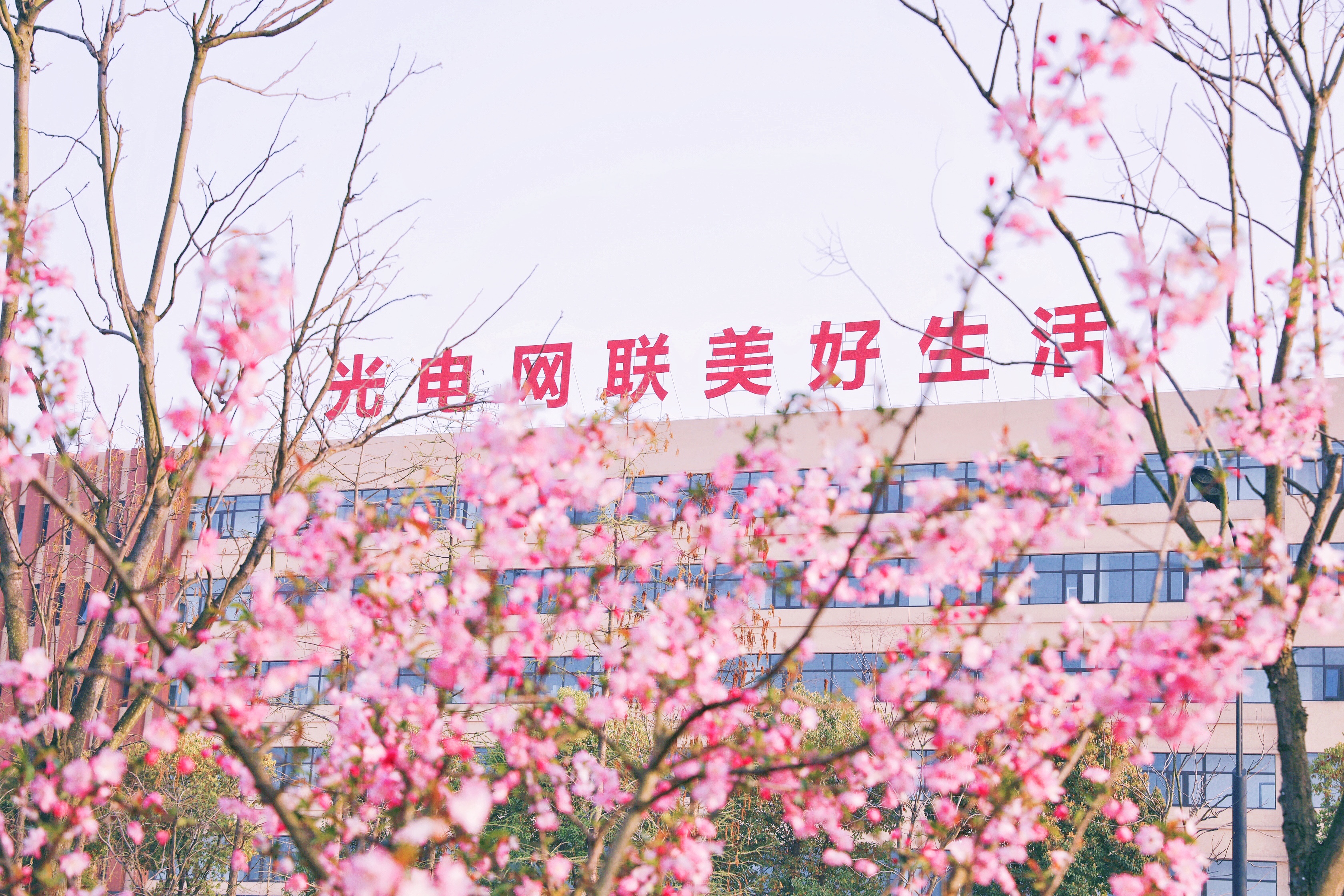 BG大游(集团)唯一官方网站