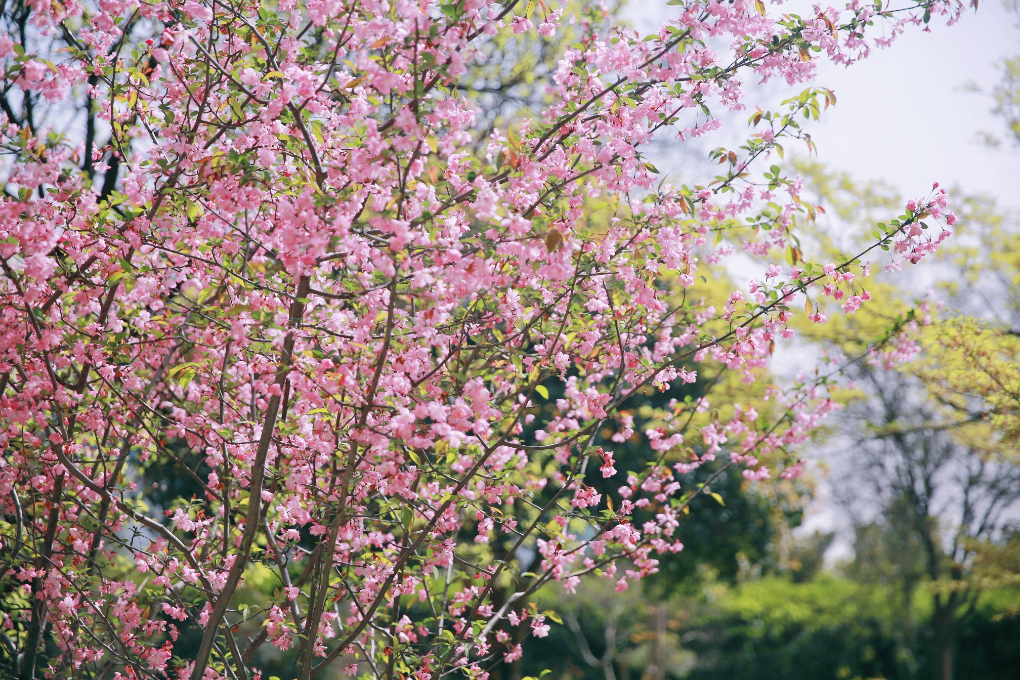 BG大游(集团)唯一官方网站
