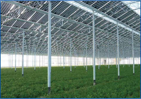 BG大游(集团)唯一官方网站